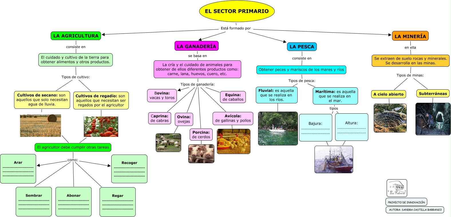 EL SECTOR PRIMARIO